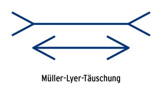 10_AK_WUM_26-1_MüllerLyer_Kasten.jpg