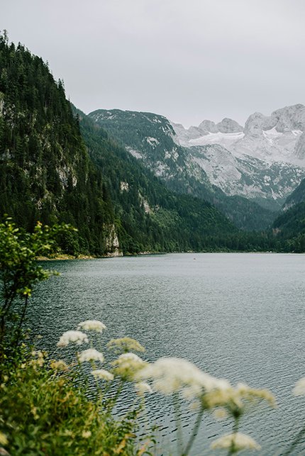 S4_Wasser_Kateryna Hliznitsova_Unsplash.jpg